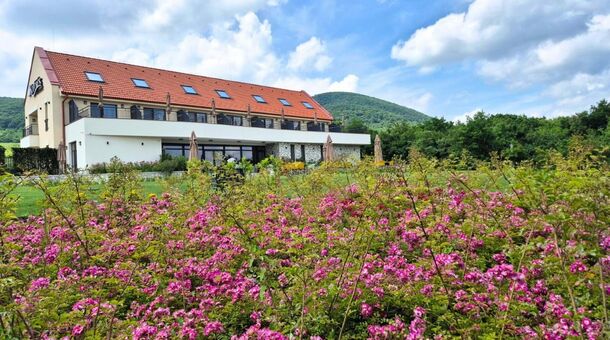 Hotel Kőporos Hercegkút****