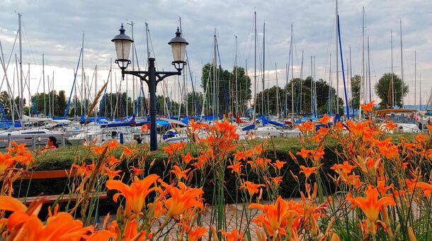 PSZ Hotel Beach Földvár***