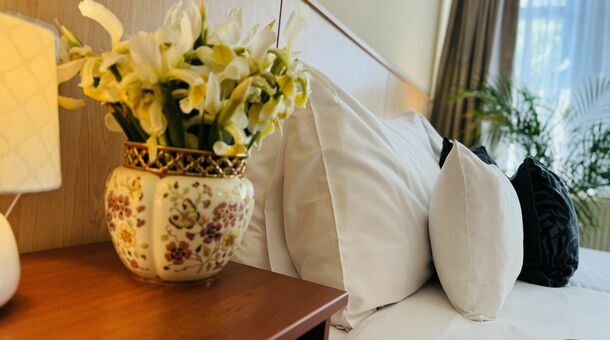 Plaza Hotel*** Gyula