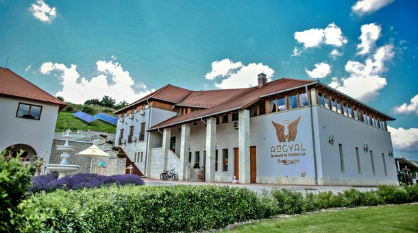 Angyal Borászat és Szőlőbirtok