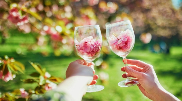 Hotel Csillag Tokaj***