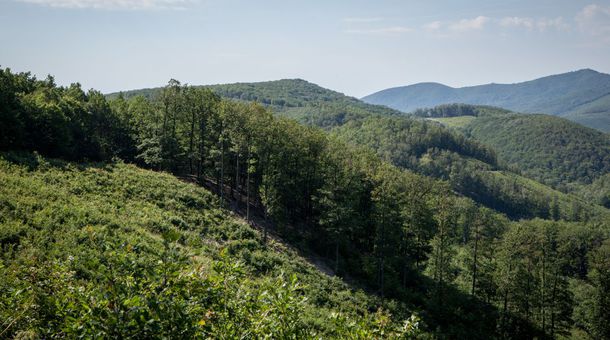 Kőkapu Vadászkastély és Hotel & Apartments