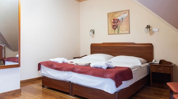 Fried Kastély Hotel***