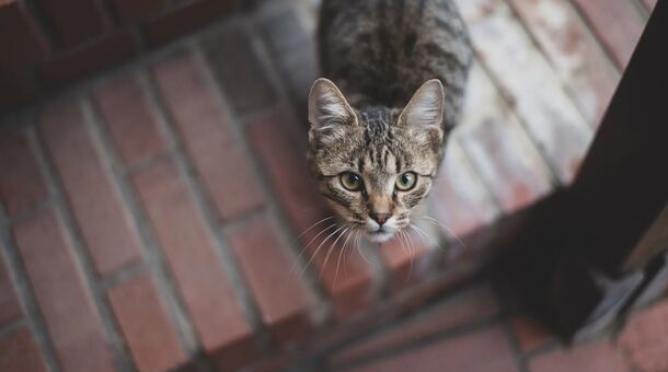 Öreg Prés Butikhotel