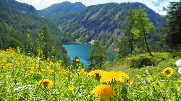 4 nap nyaralás és pihenés az Alpokban!