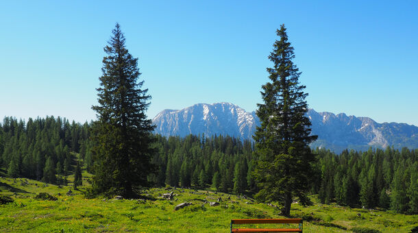 4 nap nyaralás és pihenés az Alpokban!