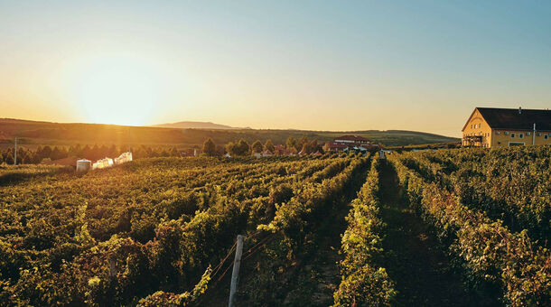 Egri Korona Borház és Wellness Hotel