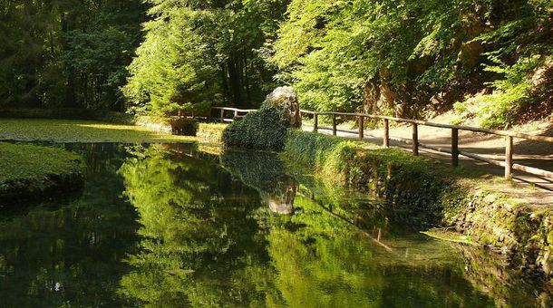 Harmónia Wellness Villa