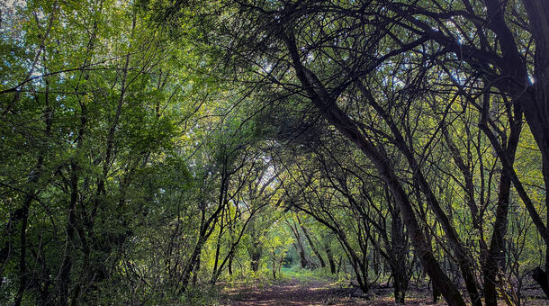 Sziget Hotel Veránka