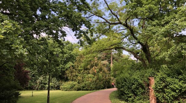 Aranyszarvas Panzió****, Étterem és Grillterasz