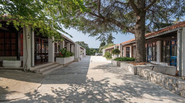 Önfeledt nyárelő Dalmáciában!