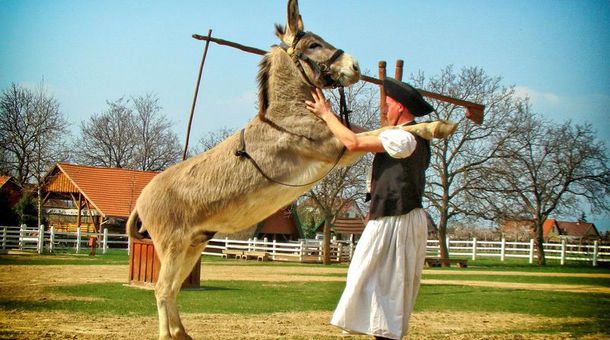 Rádpuszta Gasztro Élménybirtok