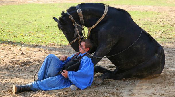 Rádpuszta Gasztro Élménybirtok