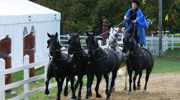 Rádpuszta Gasztro Élménybirtok