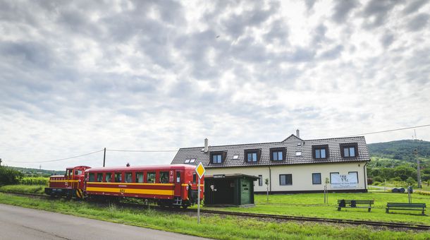 Dominium Pincészet és Panzió