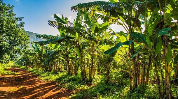 Körutazás és nyaralás Kubában!