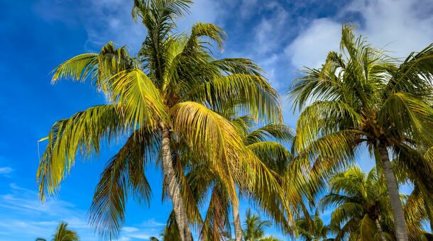 Körutazás és nyaralás Kubában!