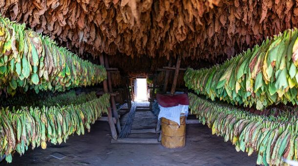 Körutazás és nyaralás Kubában!