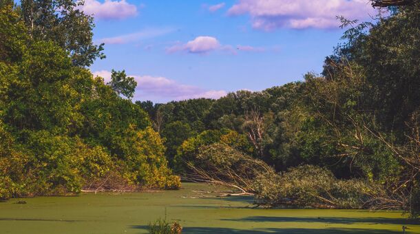 Sziget Hotel Veránka