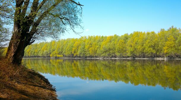 Sziget Hotel Veránka