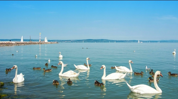 Piroska Csárda és Fogadó