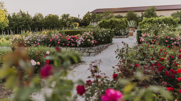 Kastélyélmény Dél-Szlovákia szívében!