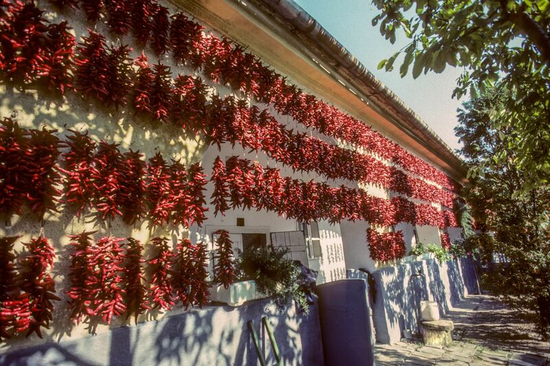 Paprika Múzeum