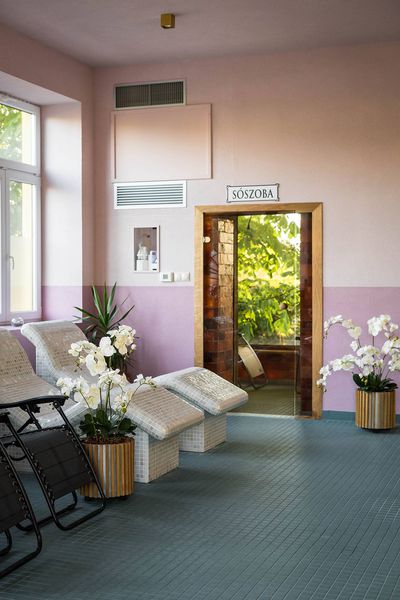 Wellness részleg