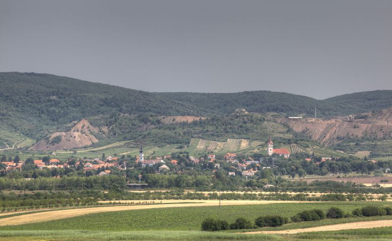 Angyal Borászat és Szőlőbirtok