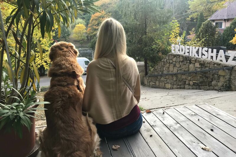 Erdei Kisház Noszvaj