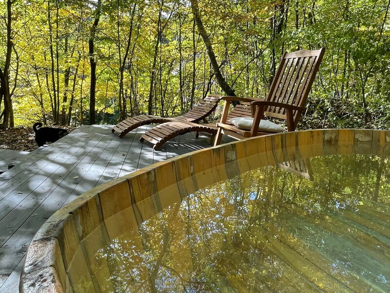 Elektromos, erdei dézsafürdő