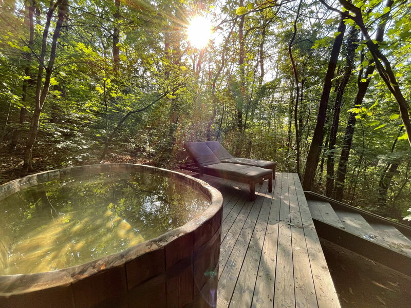 Elektromos, erdei dézsafürdő