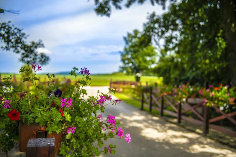 Szarvaskút Vendégházak +16