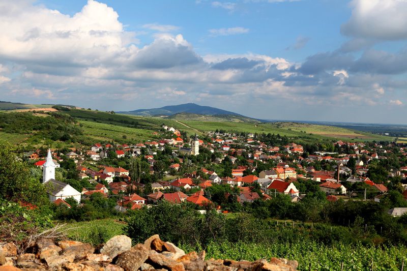 Tokaj-Hegyalja