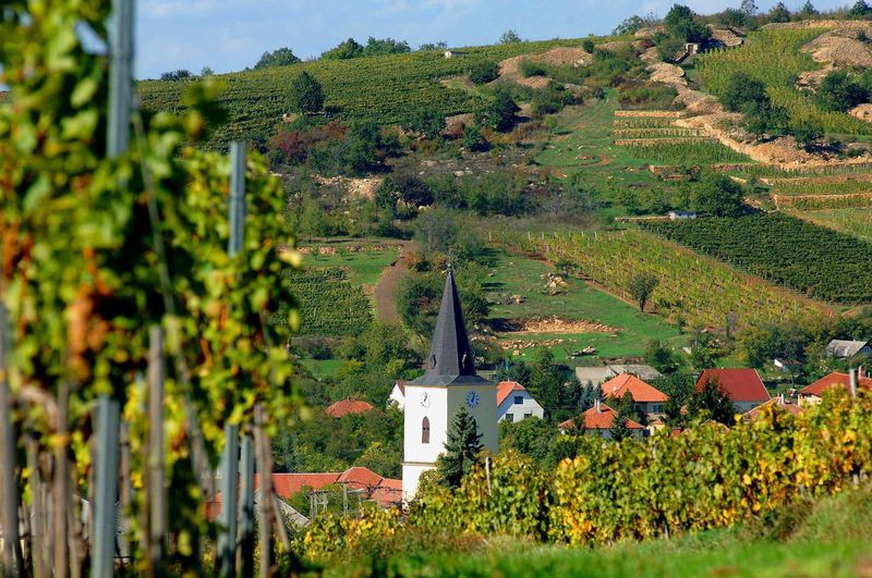 Tokaj-Hegyalja