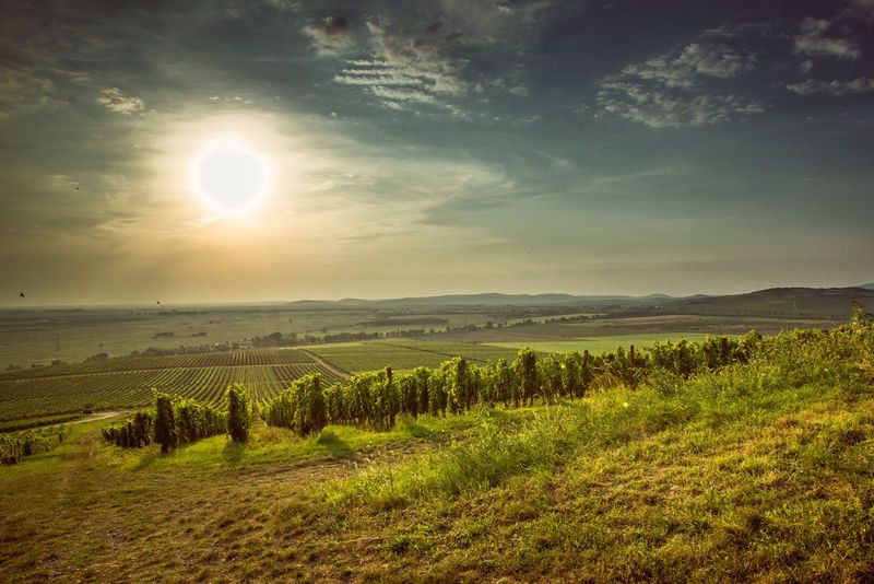 Tokaj-Hegyalja