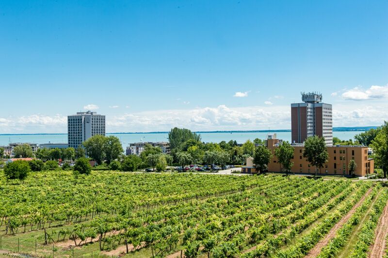 Kilátás a hotelből