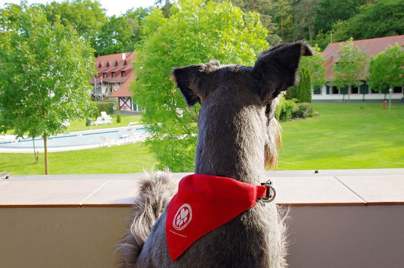 Kilátás a szobából