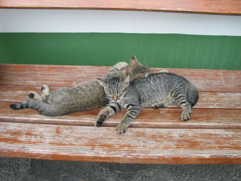 Abbázia Country Club***