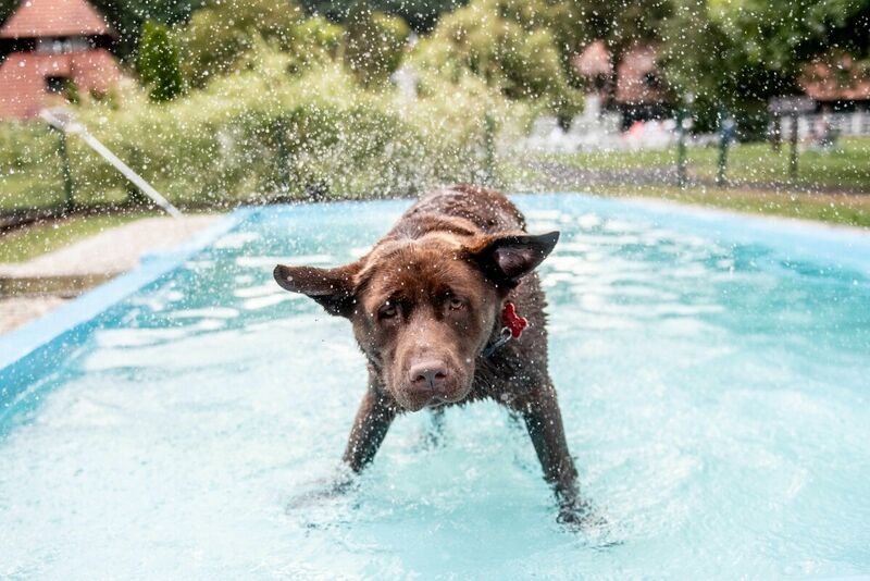 Abbázia Country Club***