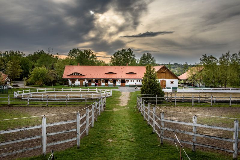 Club Dobogómajor***superior