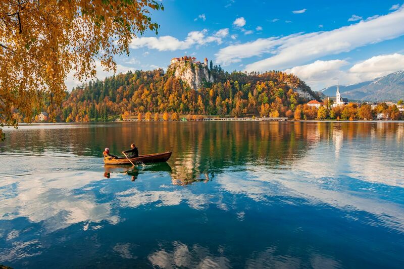 Bled