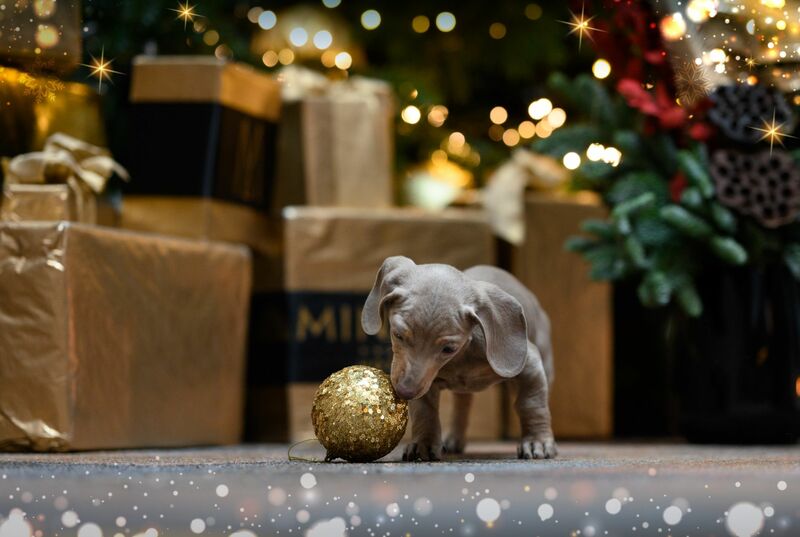 Minaro Hotel Tokaj MGallery*****