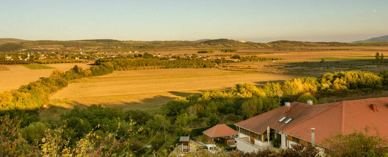 Angyal Borászat és Szőlőbirtok