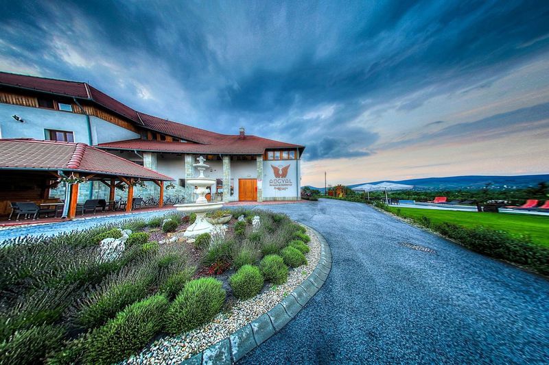 Angyal Borászat és Szőlőbirtok