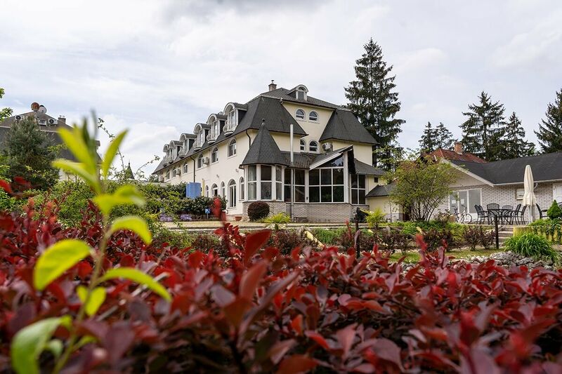 Gosztola Gyöngye - az erdő szállodája