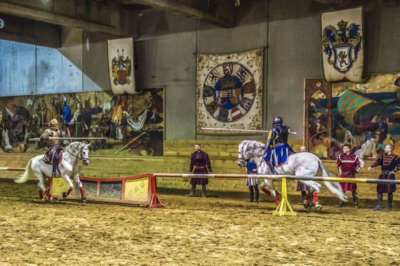 Történelmi Lovasjátékok