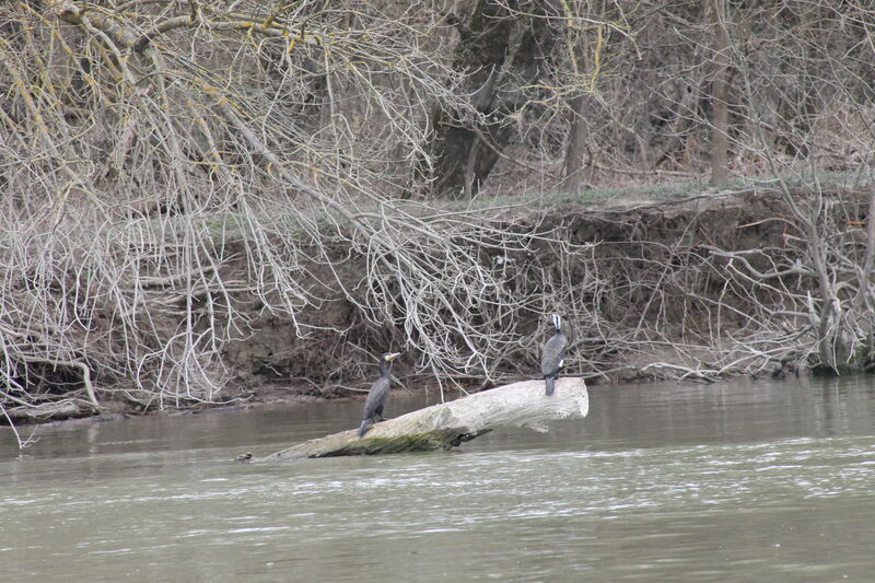 Sziget Hotel Veránka
