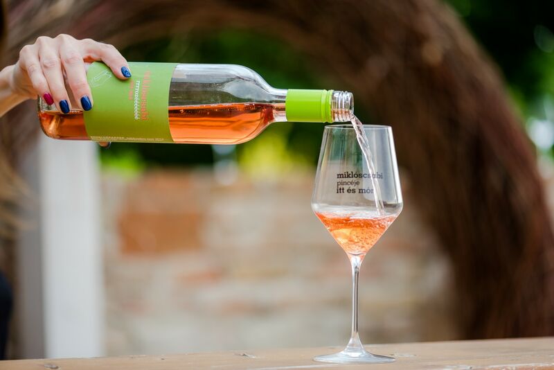 Miklós Csabi pincésze