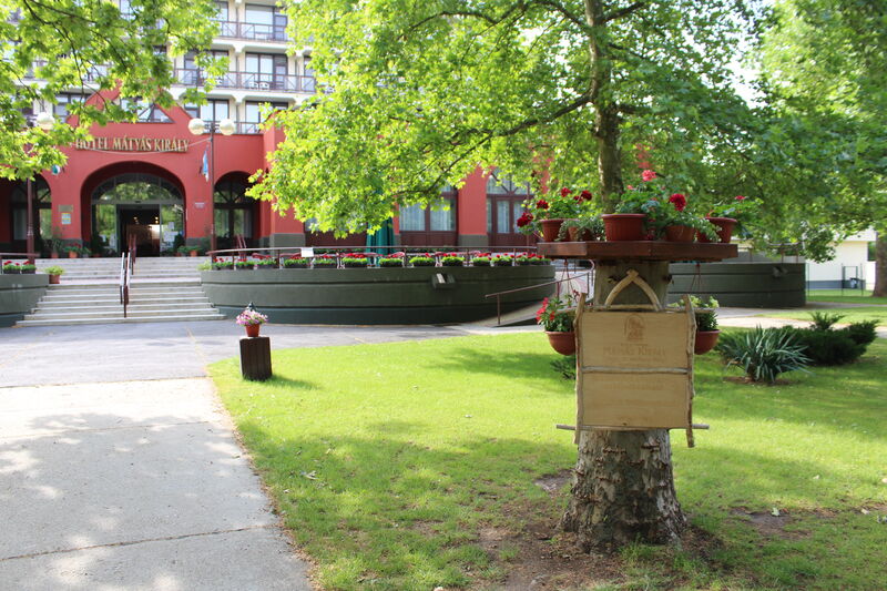 Mátyás Király Gyógy- és Wellness Hotel